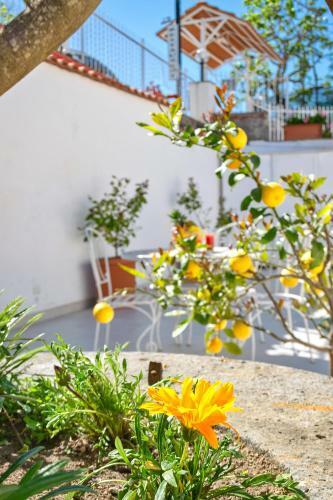 Aparthotel Residence Le Terrazze