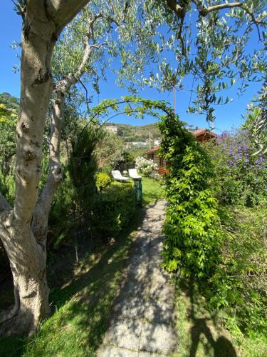 Bed & Breakfast Chalet Lidia