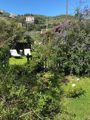 Bed & Breakfast Chalet Lidia