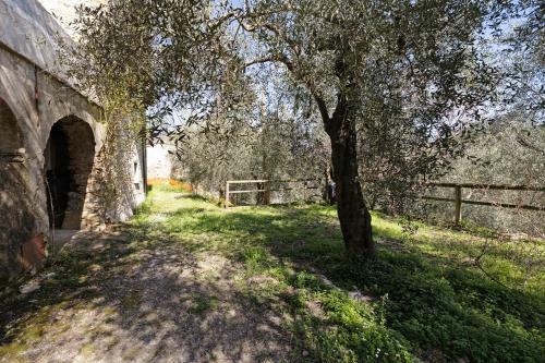 Apartamento Appartamento Succu La Taggiasca