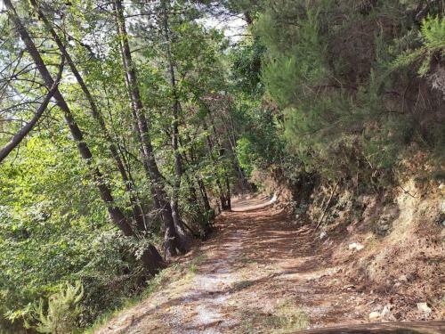Relax E Natura In Versilia