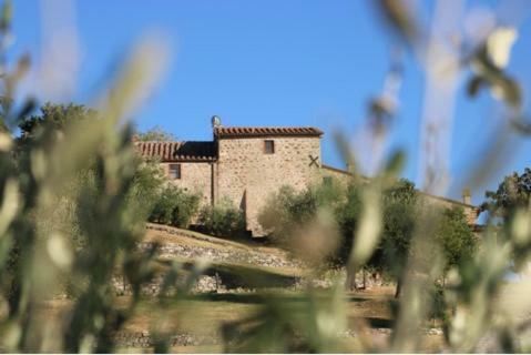 Fattoria La Pieve