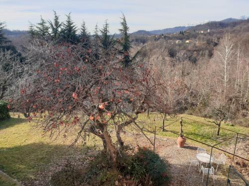La Villa Nel Bosco