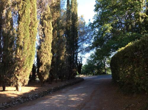 Villa Fattoria Il Termine