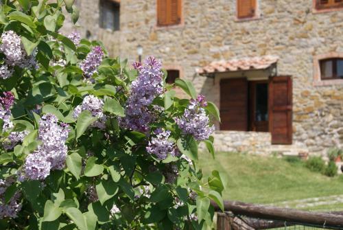 Agroturismo Casa Al Moro B&B