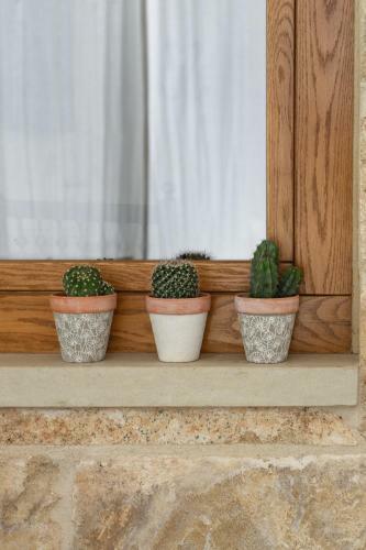 Apartamento Relais L'oliveto