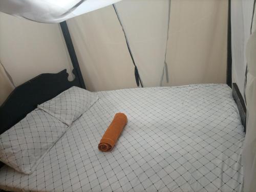 Apartamento Roybahn