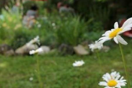 Apartamento B&B Villaggio Sole