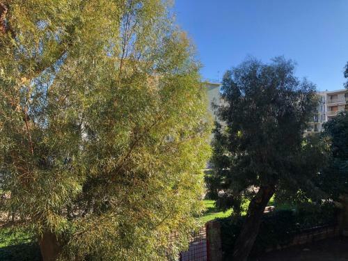 Apartamento Delle Palme 40
