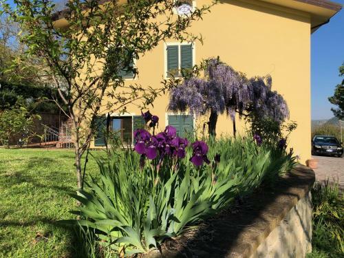 Casa Vacanze Villa Antonietta