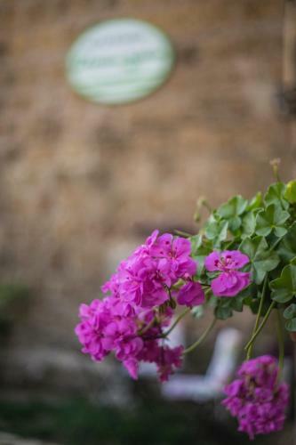 B&B Etruscan Garden