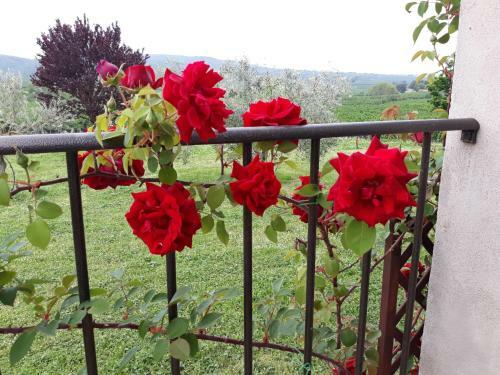 Bed & Breakfast L'orto Sul Poggio