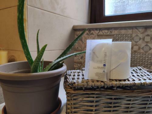 Apartamento Terry Home