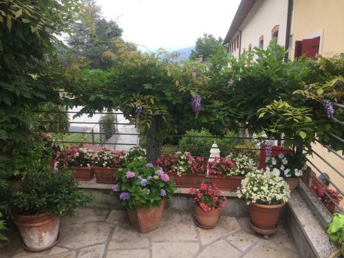 Hostal La Casa Del Glicine
