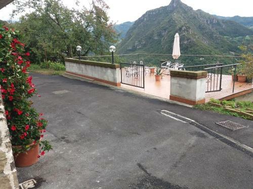 Cimmo