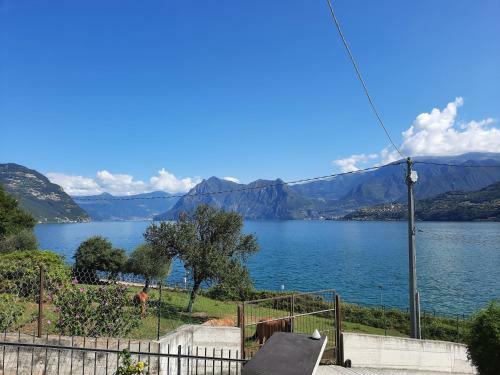 Amore Di Lago