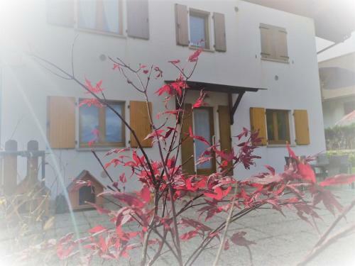 Apartamento La Stella House