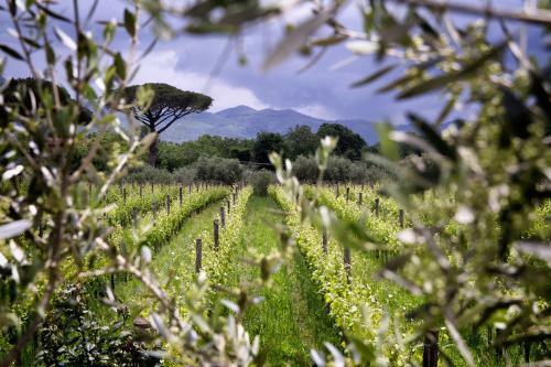 Agroturismo I Cacciagalli