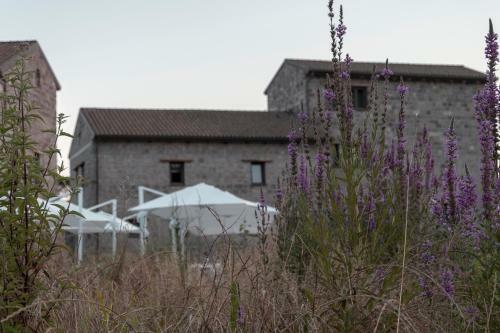 Agroturismo I Cacciagalli