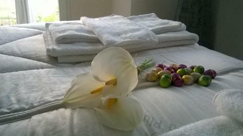 Bed & Breakfast La Casetta