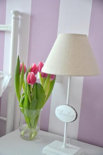 Il Ciliegio B&B