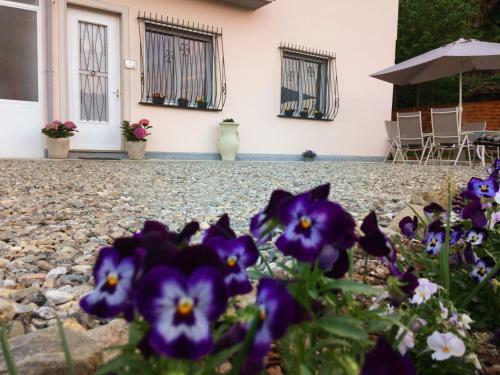 Il Ciliegio B&B
