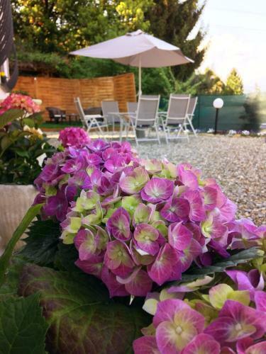 Il Ciliegio B&B