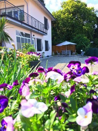 Il Ciliegio B&B