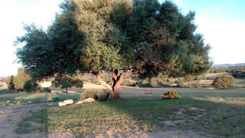 B&B Andrieddu