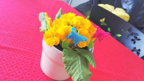 Bed & Breakfast Mariposa