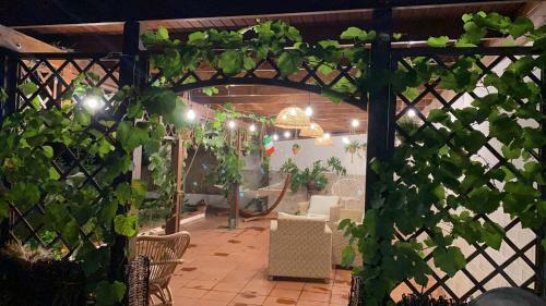 Hostal Alma Migrante Bed&wine