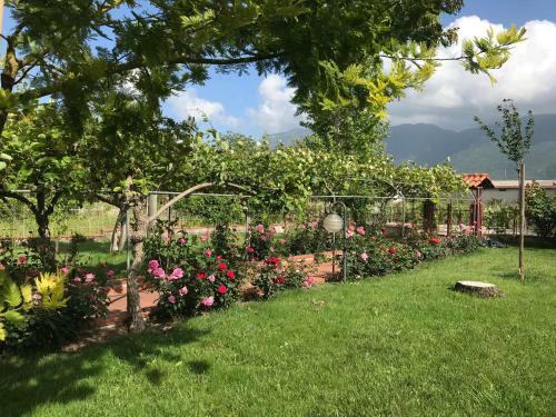 Hostal Alma Migrante Bed&wine