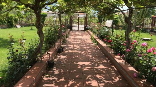 Hostal Alma Migrante Bed&wine