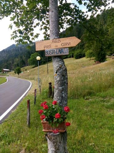 B&B Pra' Dei Cervi