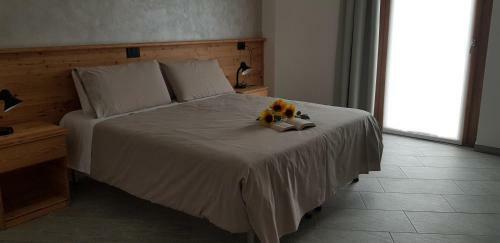 Bed & Breakfast Il Mulinel Agriturismo