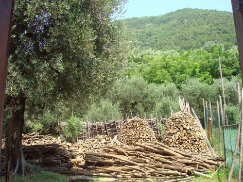 Agroturismo Il Castagneto
