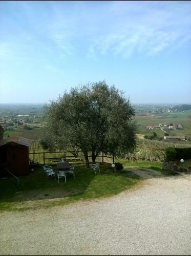 Agroturismo Il Castagneto