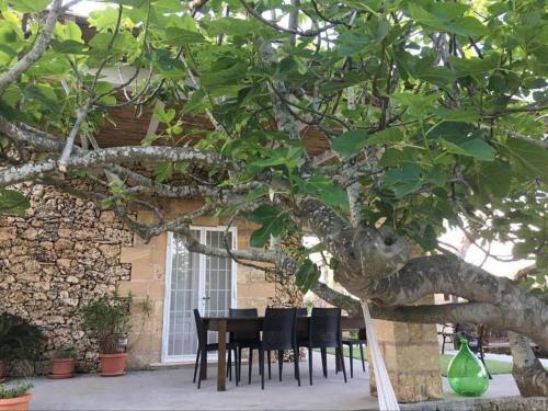 Hostal Antichi Trulli Dell'800 In Stile Moderno