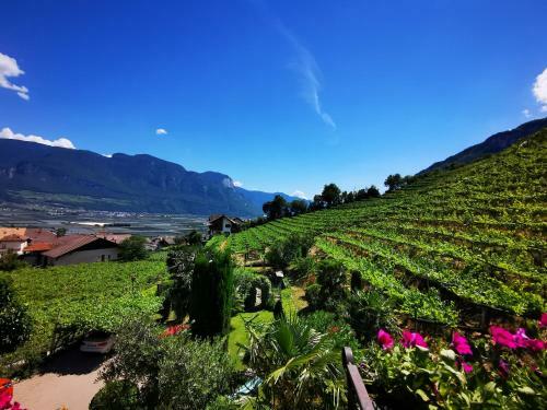 Apartamento Ferienhof Franzelin