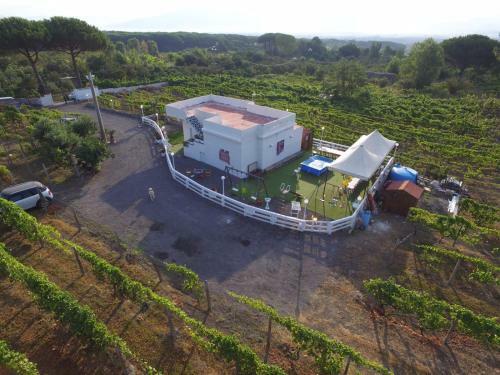 Tenuta Sul Vesuvio " Il Vigneto "