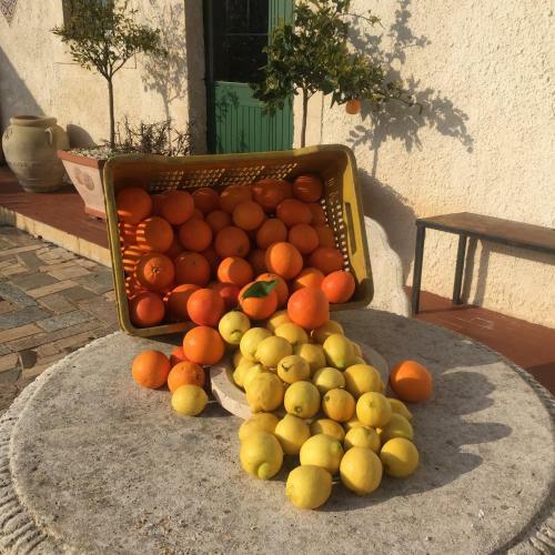 Bed & Breakfast Casa Khalesa