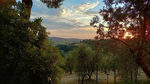 Apartamento Pietramilia
