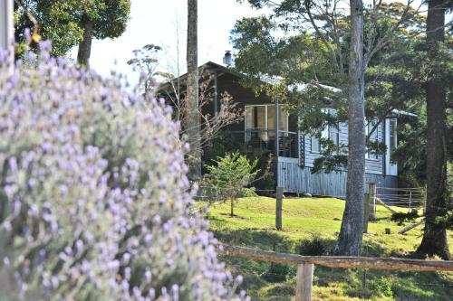 Villa Spring Creek Mountain Cafe & Cottages