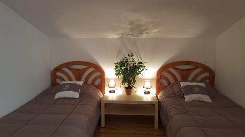 Apartamentos Julia