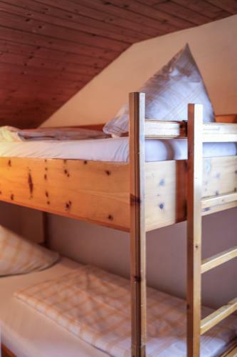 Hostal Friedlwirt-kraftplatz Natur