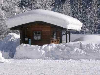 Hostal Friedlwirt-kraftplatz Natur