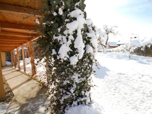 Bed & Breakfast Pension Popotnik
