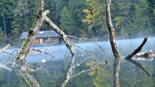 Hostal Gasthof Piburger See