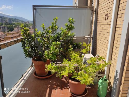 Apartamento Casa Vovos'