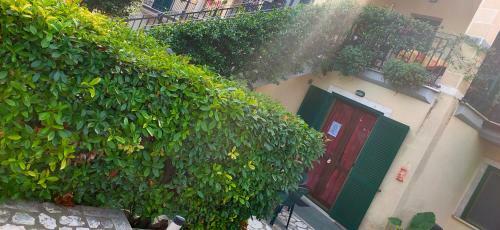 Apartamento Tana Per Gli Ospiti
